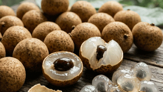 Dimocarpus longan Growing Guide | Care, Propagation & Fruiting