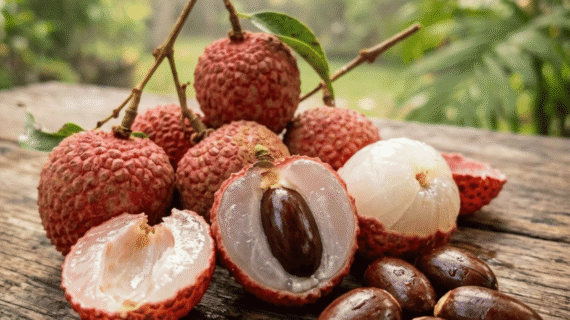 Litchi chinensis Growing Guide | Care, Propagation & Fruiting