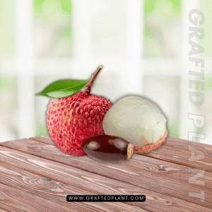 Litchi chinensis