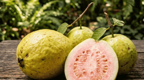 Psidium guajava Growing Guide | Care, Propagation & Fruiting