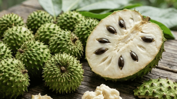 Annona muricata Growing Guide | Care, Propagation & Fruiting