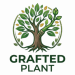 Rare Tropical Plant Seeds and Grafted Plant | Grafted Plant Indonesia