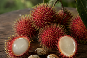 Nephelium lappaceum Growing Guide | Care, Propagation & Fruiting