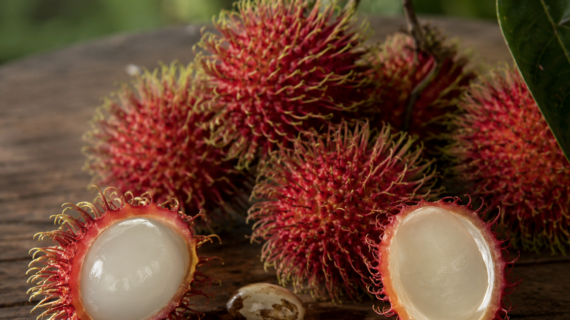 Nephelium lappaceum Growing Guide | Care, Propagation & Fruiting