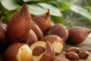 Salacca zalacca Growing Guide | Care, Propagation & Fruiting