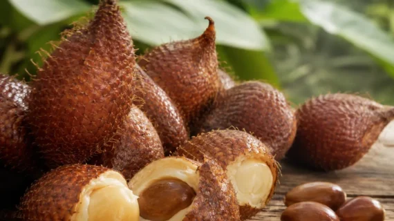 Salacca zalacca Growing Guide | Care, Propagation & Fruiting