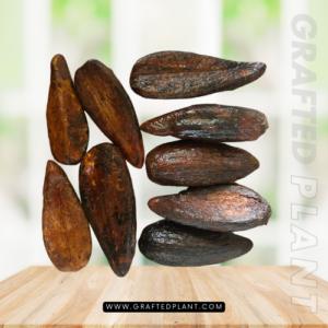 GArcinia lattiisima seeds