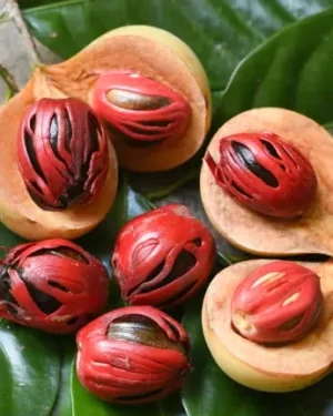 Myristica fragrans seeds