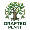 Rare Tropical Plant Seeds and Grafted Plant | Grafted Plant Indonesia